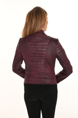 253817 BACK PLUM